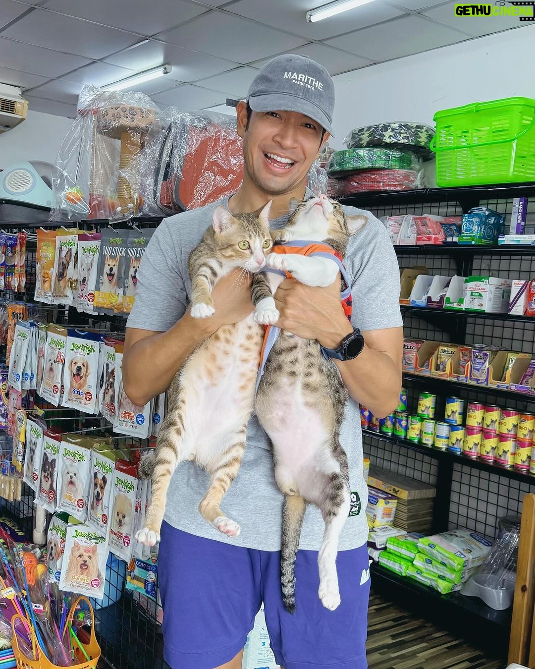 Warintorn Panhakarn Instagram - อัพเดทไซส์ 🥲🐷 #พอลแมวเชียงคาน #ไข่ตุ๋นแมวสามขา