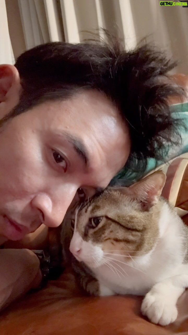 Warintorn Panhakarn Instagram - ช่วงนี้พิตุ๋นป่วยคับ 😺