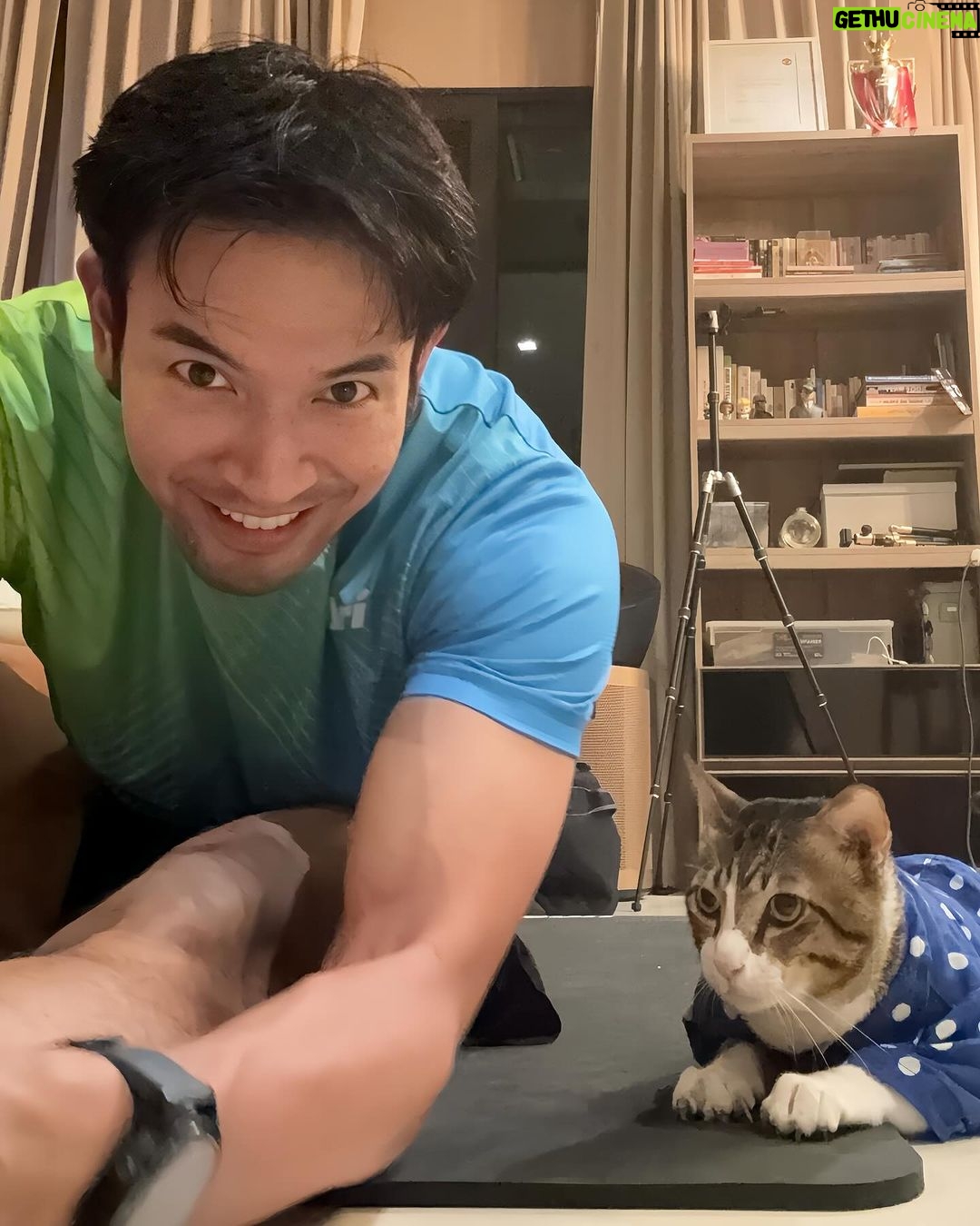 Warintorn Panhakarn Instagram - ขาตึง & ไข่แฟ่บ 🫣 #ไข่ตุ๋นแมวสามขา