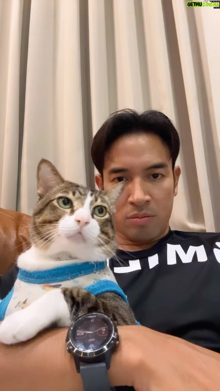 Warintorn Panhakarn Instagram - ช่วยมีความรู้สึกหน่อยเถอะตุ๋น 😁 ดูละครกันนนน #มือปราบมหาอุตม์ep11 #ไข่ตุ๋นแมวสามขา