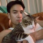 Warintorn Panhakarn Instagram - ต่อให้ละครจะสนุกแค่ไหนก็ตาม 🥹 #ไข่ตุ๋นแมวสามขา