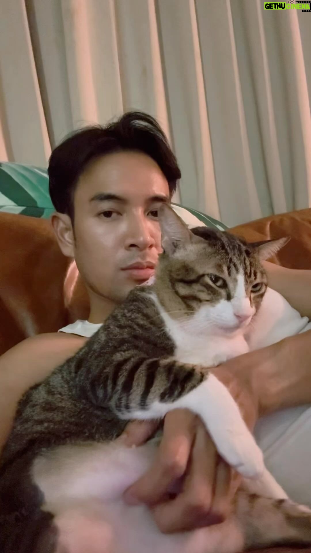 Warintorn Panhakarn Instagram - ต่อให้ละครจะสนุกแค่ไหนก็ตาม 🥹 #ไข่ตุ๋นแมวสามขา