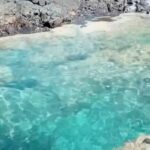 Wesley Snipes Instagram – Look at God showing off with this natural pool in Puerto Rico!!! I’m learning more Spanish right now! 🙌🏿😂 

Via @savingpuertorico 🇵🇷 call me #SeñorSnipes 

Where my Puerto Rican’s at???
