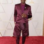 Wesley Snipes Instagram - Stylin’ in @bogardbymikeb 🙏🏿 #oscars2022