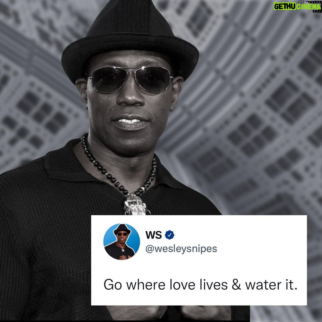 Wesley Snipes Instagram - Put that in ya back pocket! #WesleyWisdom