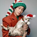 Wichapas Sumettikul Instagram – Merry Christmas 🎄

#christmas 
#cat