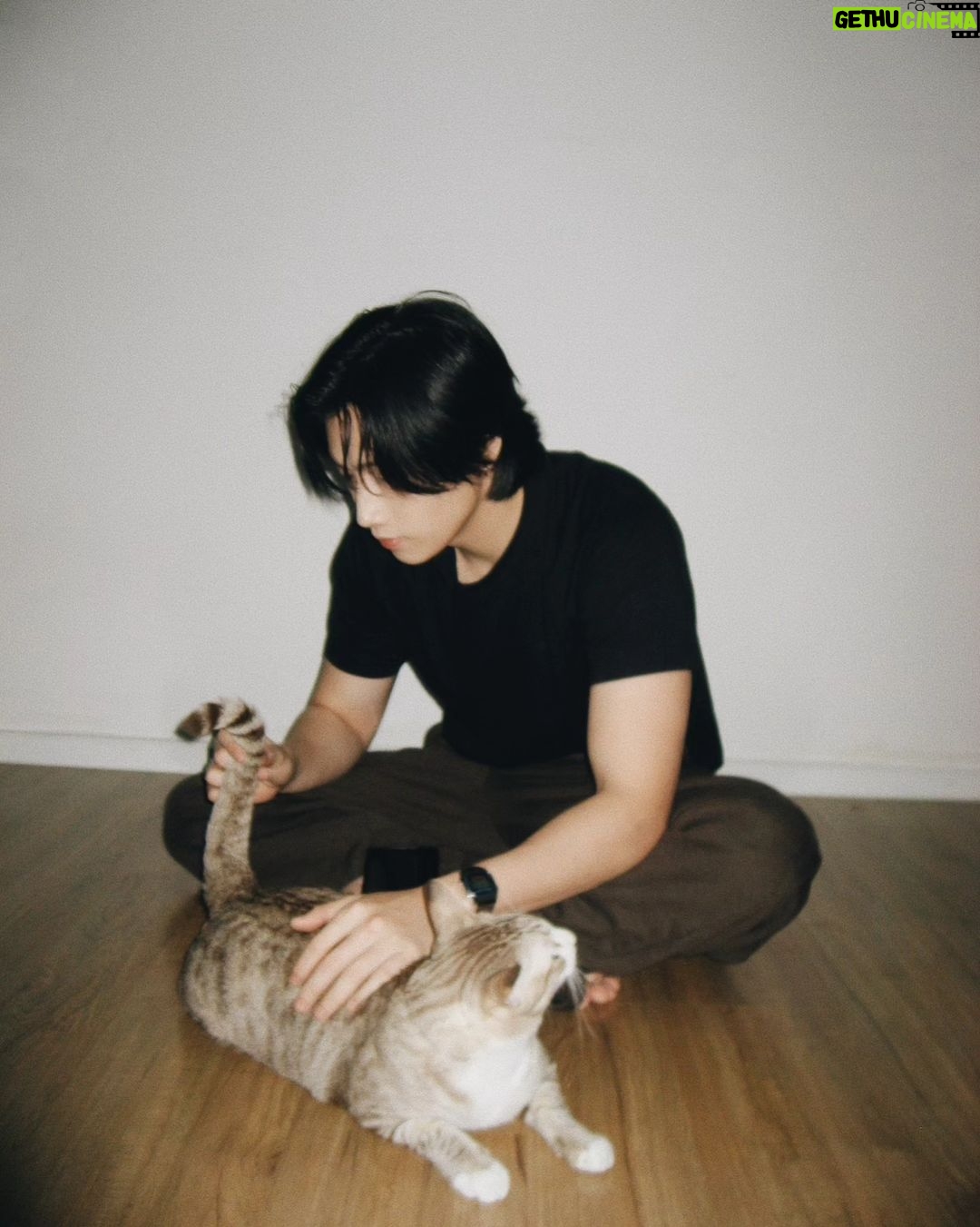 Wichapas Sumettikul Instagram - Feline escapades