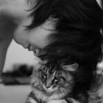 Wichapas Sumettikul Instagram – Does anyone else like to head boop their cats? 

#cat 
#mainecoon