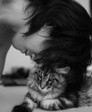 Wichapas Sumettikul Instagram - Does anyone else like to head boop their cats? 

#cat 
#mainecoon