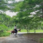 Wichapas Sumettikul Instagram - Me and ma horse On SPOTLiGHT Magazine