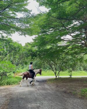 Wichapas Sumettikul Instagram - Me and ma horse 

On SPOTLiGHT Magazine