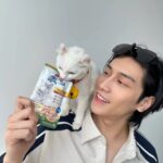 Wichapas Sumettikul Instagram – Morning with my babies. Kaniva wake up call 😽😽

#KanivaxBible #Kanivapetfood #ถูกใจคนรู้ใจแมว