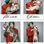 Wichapas Sumettikul Instagram – Merry Christmas 🎄

#christmas 
#cat
