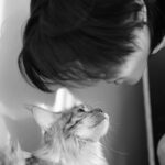 Wichapas Sumettikul Instagram – Does anyone else like to head boop their cats? 

#cat 
#mainecoon