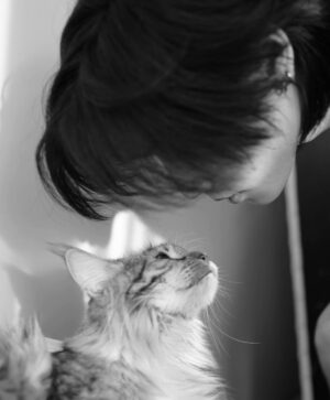 Wichapas Sumettikul Instagram - Does anyone else like to head boop their cats? 

#cat 
#mainecoon