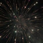William Zabka Instagram - Happy 4th of July!