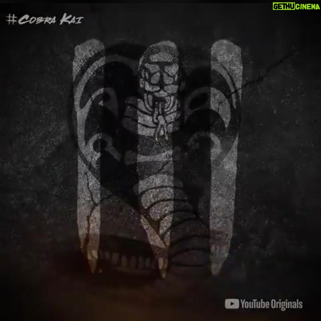 William Zabka Instagram - Just announced ! Itβs official #CobraKai SEASON 3 ππ»π₯