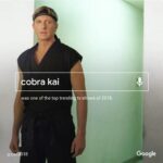 William Zabka Instagram - Thanks to all the fans for making #CobraKai one of Google’s top trending TV shows of 2018! See you back in the dojo for Season 2 ... coming soon! 👊🏻 #YearInSearch #YouTubePremium