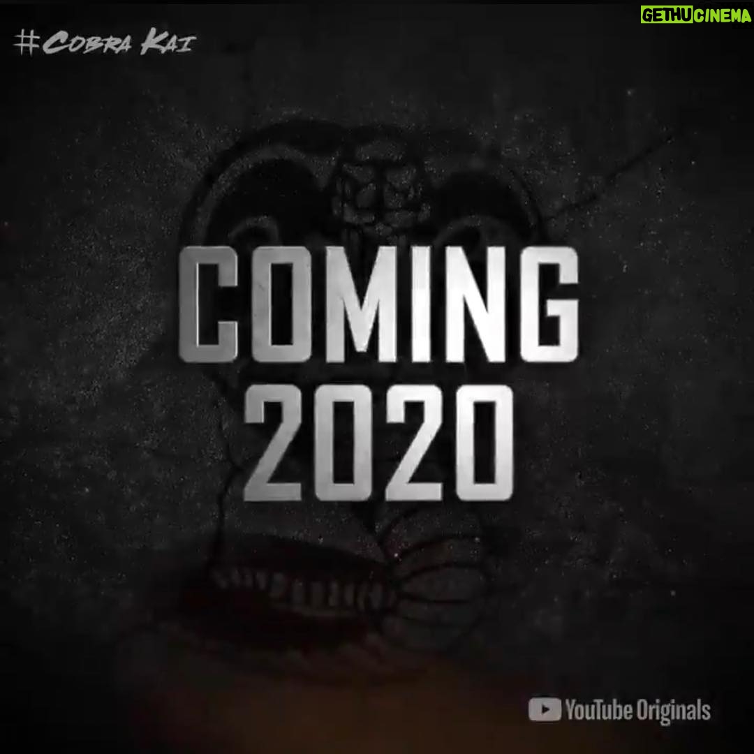 William Zabka Instagram - Just announced ! Itβs official #CobraKai SEASON 3 ππ»π₯