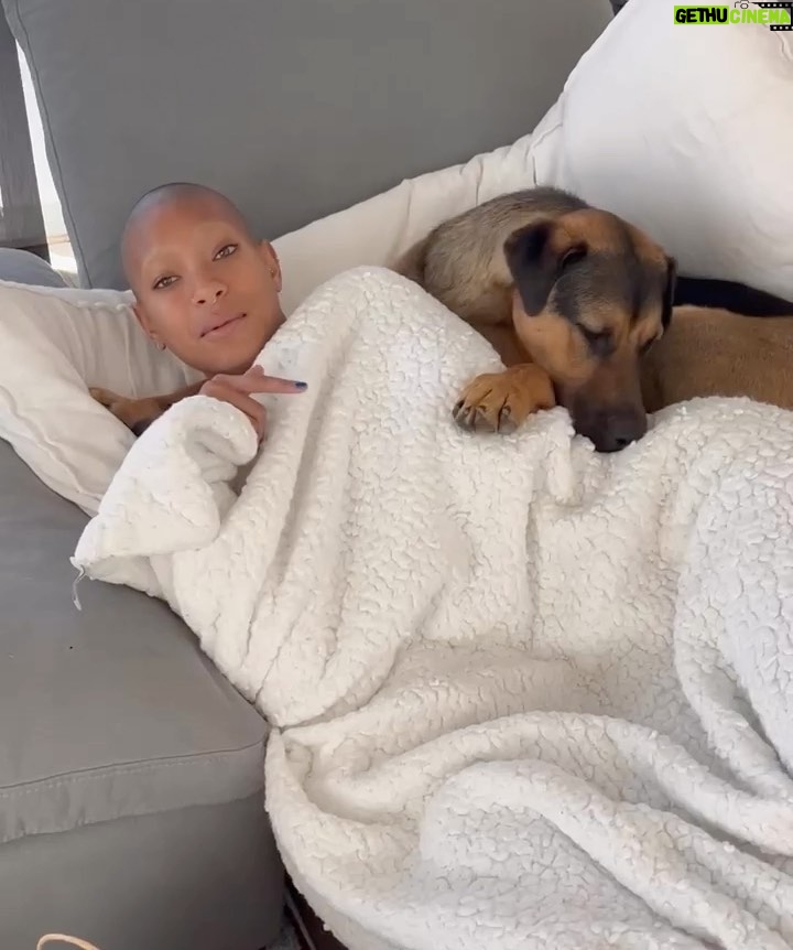Willow Smith - 352.8K Likes - This is <22> 🥹