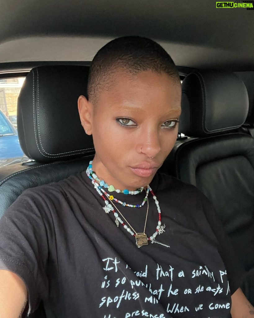 Willow Smith Instagram - erin on the side of