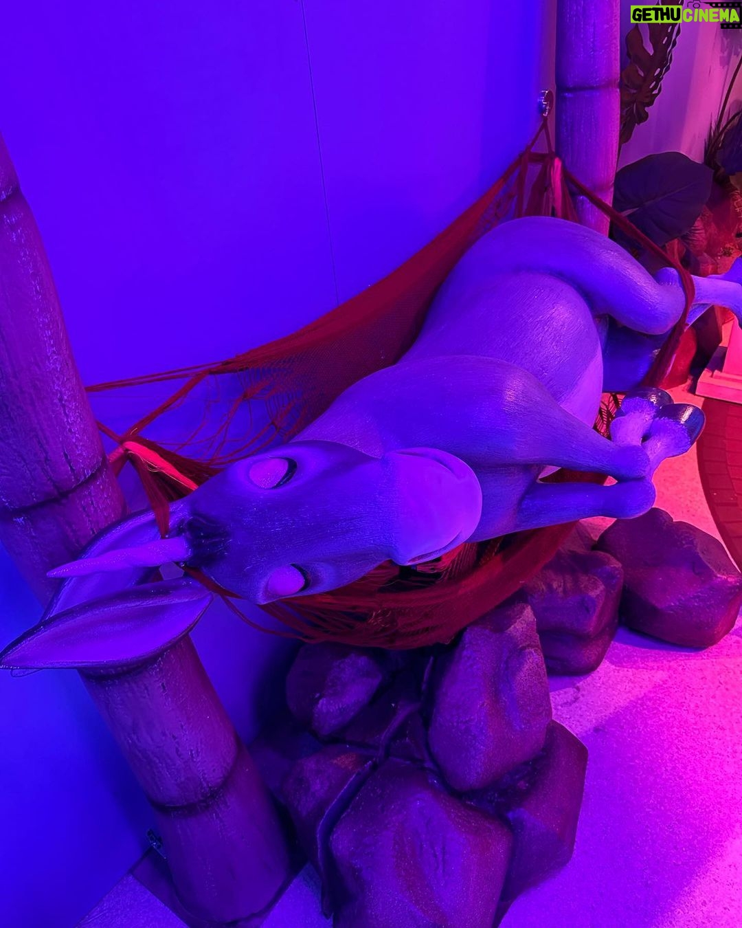 Wilmer Valderrama Instagram - Witnessed the magic of Disney’s Encanto x CAMP immersive experience, it was beautiful to see it come to life.. #DisneyEncantoXCamp