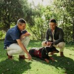 Wilmer Valderrama Instagram - #ad I’m honored to partner with @PurinaDogChow to give back to our veterans. After hearing the stories of so many service men and women over the years, supporting our military has become one of my greatest joys. As part of their 5th annual Service Dog Salute program, Dog Chow launched the Visible Impact Award to celebrate the incredible impact service dogs have for veterans with posttraumatic stress. Check out my story to see how you can join in selecting the winner. #DogChowPartner #ServiceDogSalute