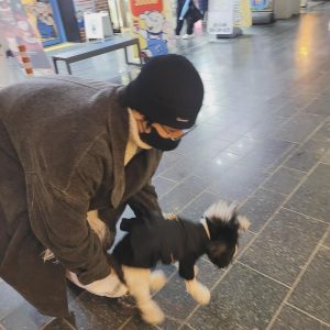 Wonwoo Instagram - 설이랑