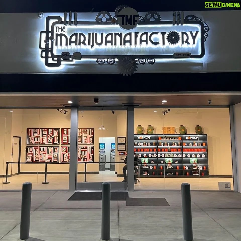 Xzibit Instagram - Step inside our cannabis haven, where the vibes are as fresh as our newly designed interior. 🌿✨ Welcome to a world where every visit is an experience. #CannabisElevated #NewDispensaryFeels The Marijuana Factory