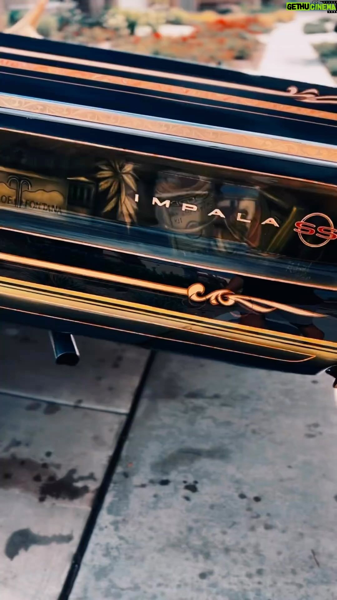 Xzibit - 12.4K Likes - Freaky tales on 3🔥🔥🔥
.
.
.
.
.
.
#impala #64impala #64impalacovertible #59impala #61impala #62impala #impalass #60impala #63impala #impalass #ragtop #lowrider #lowridercars #lowriderphotography #lowriderculture #lowriderlifestyle #lowriderlife #lowlow #cruising #cruisin #chicano #chicanoculture