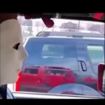 Xzibit Instagram - Pulling up on em….🤣