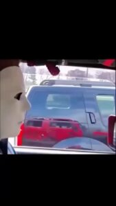 Xzibit Instagram - Pulling up on em….🤣