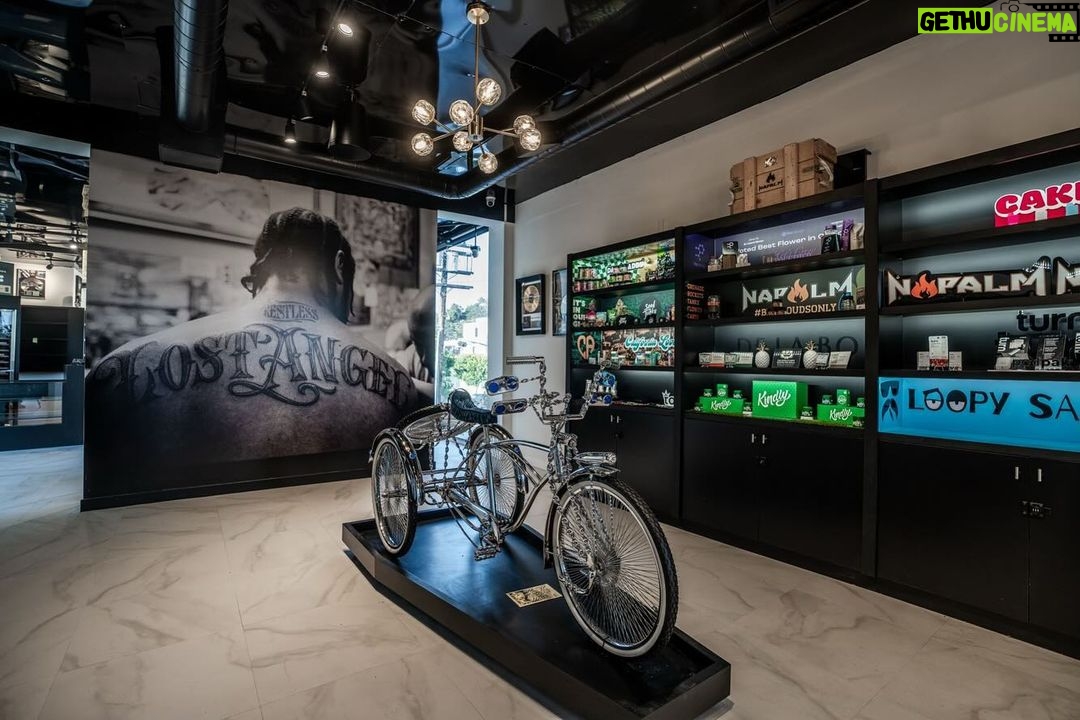 Xzibit Instagram - Get ready to elevate your experience! XWCC is opening its doors on March 17th! Whether you’re a seasoned connoisseur or new to the scene, we’ve got something special just for you. Swing by and discover a curated selection of premium products. Mention @935kday and receive a special treat! #XWCCG #ElevateYourExperience #belair @935kday @xwcc_belair @napalmbrands @kss_distro