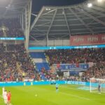 Yağmur Tanrisevsin Instagram - Tarihi bir güne tanıklık etmenin gurur ve mutluluğuyla … 🇹🇷❤️🤍 @millitakimlar #LiderTürkiye #BizimÇocuklar #Euro2024 Cardiff City Stadium