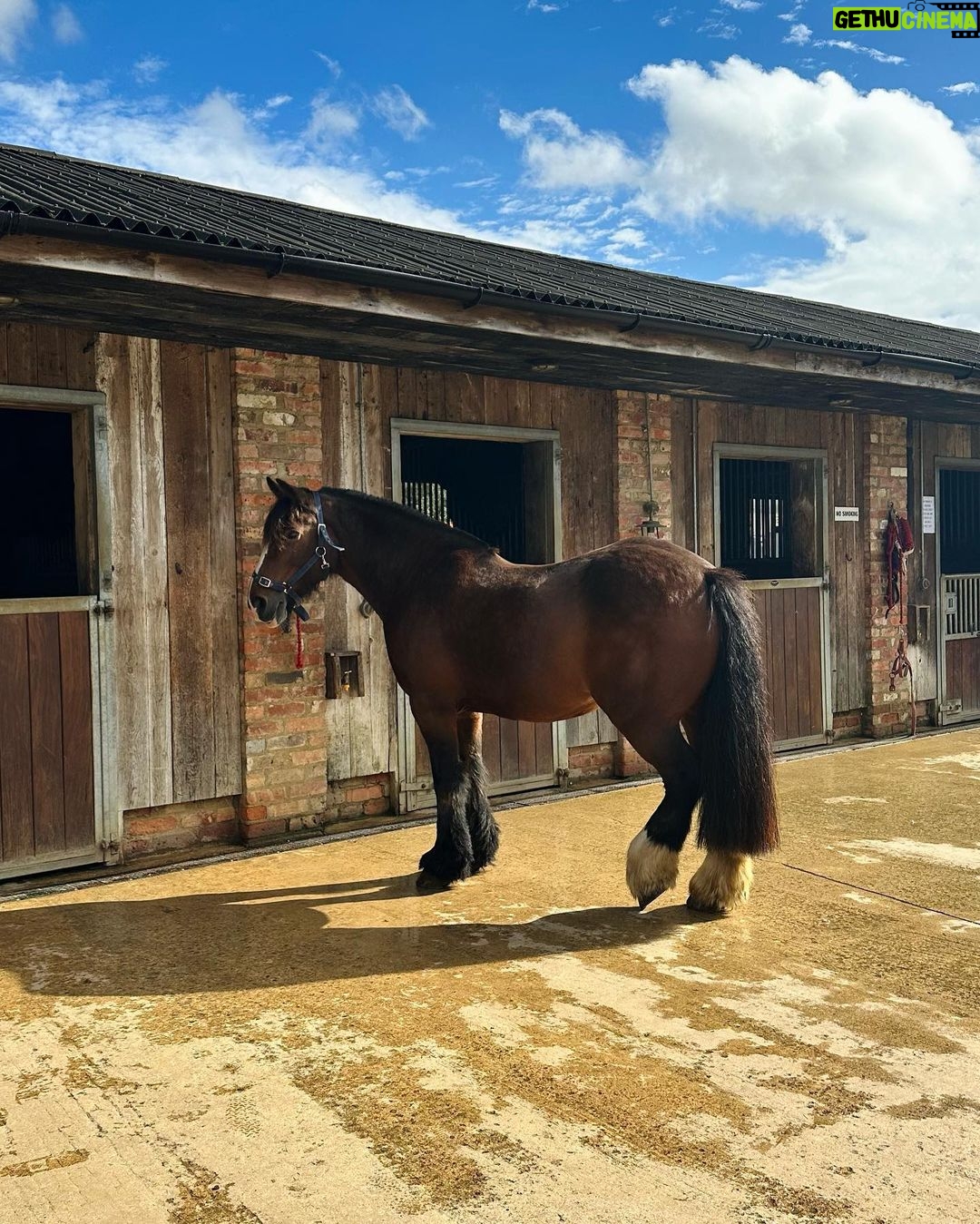 YaΔmur Tanrisevsin Instagram - FarmDay πΎπͺ΅ππ ππ² Soho Farmhouse