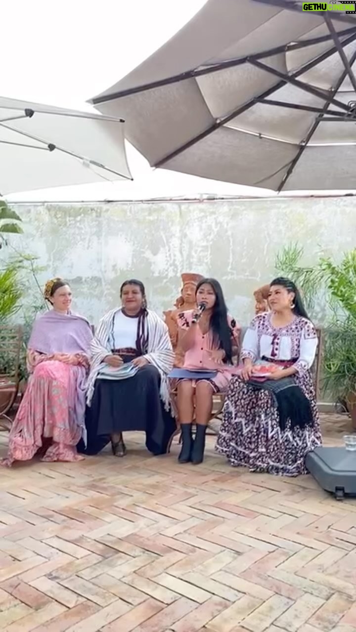Yalitza Aparicio Instagram - Hoy sucedió algo increíble, el recuerdo de que nunca he caminado sola 🥰😘 (mi animal favorito)😍 #colibri 📸 @irireis Oaxaca City
