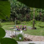 Yanna Lavigne Instagram - A @villacambuca nos recebeu de braços abertos para o 2º Retiro EVA e não poderíamos estar mais felizes com a escolha do lugar. Esse paraíso fica em Ubatuba/SP e comportou perfeitamente todas as vivências: piscina, queda d’água particular, lago, cantinho da fogueira e quartos aconchegantes fizeram toda a diferença para proporcionarmos a melhor experiência para as nossas EVAs. Um dos grandes presentes que recebemos foi a Lele, que nos recepcionou de forma acolhedora, fez uma comida vegana deliciosa e ainda nos encantou com a sua história forte e inspiradora. ✨ @villacambuca Ubatuba, Sao Paulo, Brazil