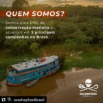 Yanna Lavigne Instagram - Sea Shepherd Brasil, uma ONG (organização não governamental sem fins lucrativos) de conservação marinha, 100% independentes e nosso trabalho só é possível graças à contribuições locais. E mais, você também pode fazer parte deste movimento: ☑ Tornando-se um patrono com doações mensais; ☑ Sendo um voluntário e doando tempo e talento pela causa; ☑ Vestindo nossa camisa, ao adquirir um produto em nossa loja; ☑ Trazendo sua empresa para ser Empresa Amiga da Sea Shepherd. Para isso, basta acessar o site em www.seashepherd.org.br ou no link da nossa BIO @seashepherdbrasil
