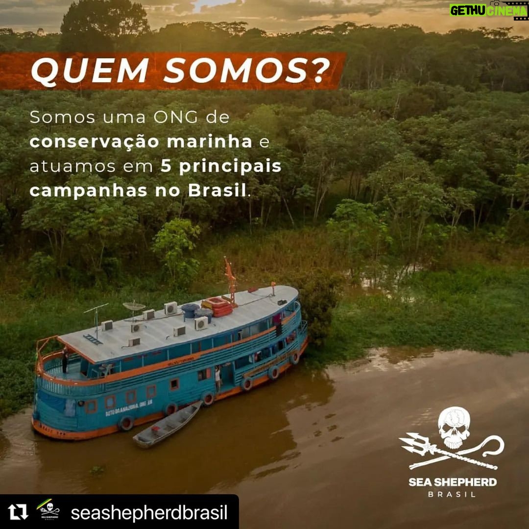 Yanna Lavigne Instagram - Sea Shepherd Brasil, uma ONG (organização não governamental sem fins lucrativos) de conservação marinha, 100% independentes e nosso trabalho só é possível graças à contribuições locais. E mais, você também pode fazer parte deste movimento: ☑ Tornando-se um patrono com doações mensais; ☑ Sendo um voluntário e doando tempo e talento pela causa; ☑ Vestindo nossa camisa, ao adquirir um produto em nossa loja; ☑ Trazendo sua empresa para ser Empresa Amiga da Sea Shepherd. Para isso, basta acessar o site em www.seashepherd.org.br ou no link da nossa BIO @seashepherdbrasil
