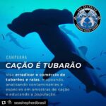 Yanna Lavigne Instagram - Sea Shepherd Brasil, uma ONG (organização não governamental sem fins lucrativos) de conservação marinha, 100% independentes e nosso trabalho só é possível graças à contribuições locais. E mais, você também pode fazer parte deste movimento: ☑ Tornando-se um patrono com doações mensais; ☑ Sendo um voluntário e doando tempo e talento pela causa; ☑ Vestindo nossa camisa, ao adquirir um produto em nossa loja; ☑ Trazendo sua empresa para ser Empresa Amiga da Sea Shepherd. Para isso, basta acessar o site em www.seashepherd.org.br ou no link da nossa BIO @seashepherdbrasil