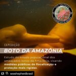 Yanna Lavigne Instagram - Sea Shepherd Brasil, uma ONG (organização não governamental sem fins lucrativos) de conservação marinha, 100% independentes e nosso trabalho só é possível graças à contribuições locais. E mais, você também pode fazer parte deste movimento: ☑ Tornando-se um patrono com doações mensais; ☑ Sendo um voluntário e doando tempo e talento pela causa; ☑ Vestindo nossa camisa, ao adquirir um produto em nossa loja; ☑ Trazendo sua empresa para ser Empresa Amiga da Sea Shepherd. Para isso, basta acessar o site em www.seashepherd.org.br ou no link da nossa BIO @seashepherdbrasil