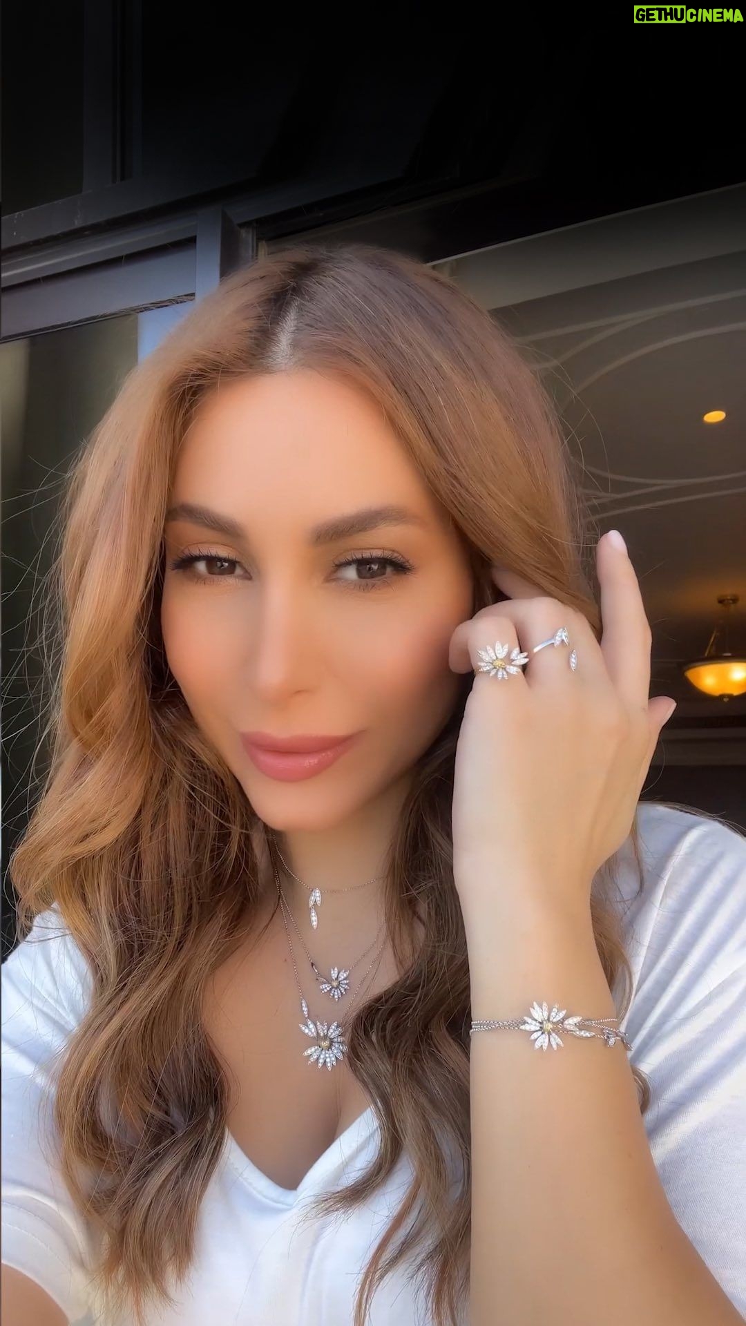 Yara - 11.4K Likes - Love Me, Love Me Not 🤍🌼
#LoveMeLoveMeNot | #بتحب_ما_بتحب
#بتحب | @samrajewellery
#Yara | #يارا