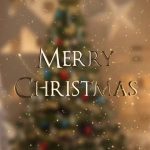 Yara Instagram - ميلاده عنّا صار … كلمة حبّ بتجمعنا ❤️🎄 ينعاد على الجميع وان شاءالله تكونوا قضيتوا ليلة ميلاد كلها فرح مع العيلة والأحباب ✨ #Yara | #يارا . . . #MerryChristmas #ChristmasVibes #ميلاد_مجيد #عيد_الميلاد #Yaralb_lovers #يارا_لوفرز Lebanon