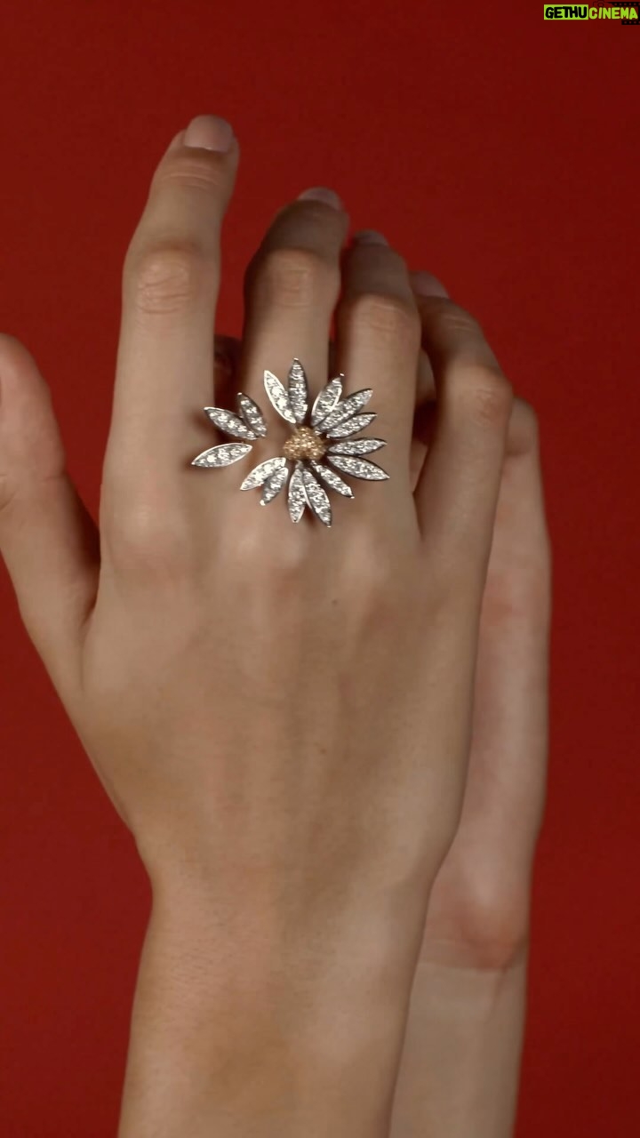 Yara Instagram - #Repost @samrajewellery ✨❤️ Elegance blossoms anew this Holiday Season with Love Me, Love Me Not Collection. Let daisy-inspired jewels adorn the Festive Season. #ArtofGiving #FestiveSeason #HolidaySeason #SparkleWithSamra #SamraDubai #YaraCollection تتفتح الأناقة من جديد مع مجموعة #بتحب_ما_بتحب في هذا الموسم. دع المجوهرات المستوحاة من ورده الديزي تزين رحلتك. United Arab Emirates