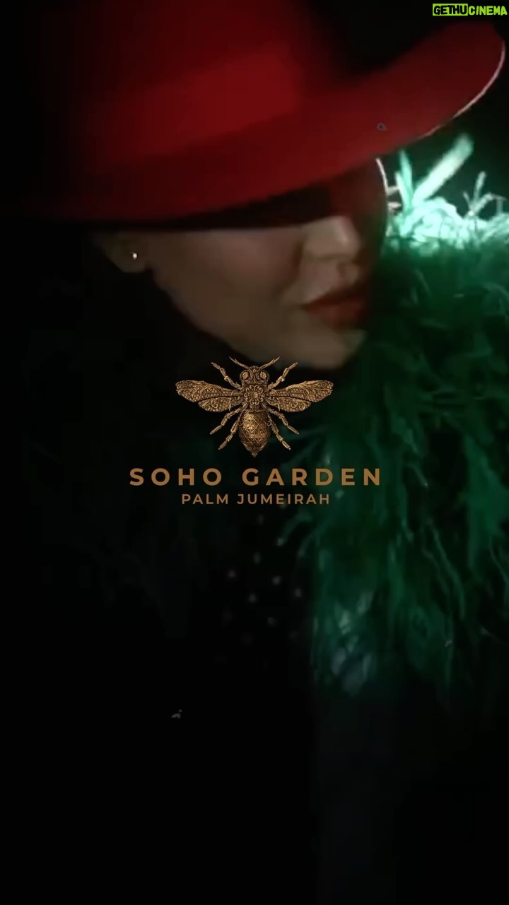 Yara Instagram - Saturday night February 24 @sohogardenpalm #Yara #dubai #يارا #دبي #الامارات United Arab Emirates