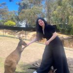 Yasemin Sakallıoğlu Instagram - Koala var, kanguru var. Her şey var bavullarım yok. Ama hayat yine de devam ediyo😂 Ballarat Wildlife Park