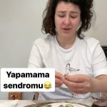 Yasemin Sakallıoğlu Instagram - Düzgün karakter sendromu yaşayanların videosu😂