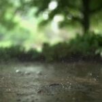 Yashraj Mukhate Instagram - Full song on JioSaavn. Link in the bio! #rainsong #tinkabarsa #ymstudios #ymoriginals #yashrajmukhate #rain #guitar #rainsound