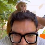 Yasir Hussain Instagram - Monkey 🙈 morning #