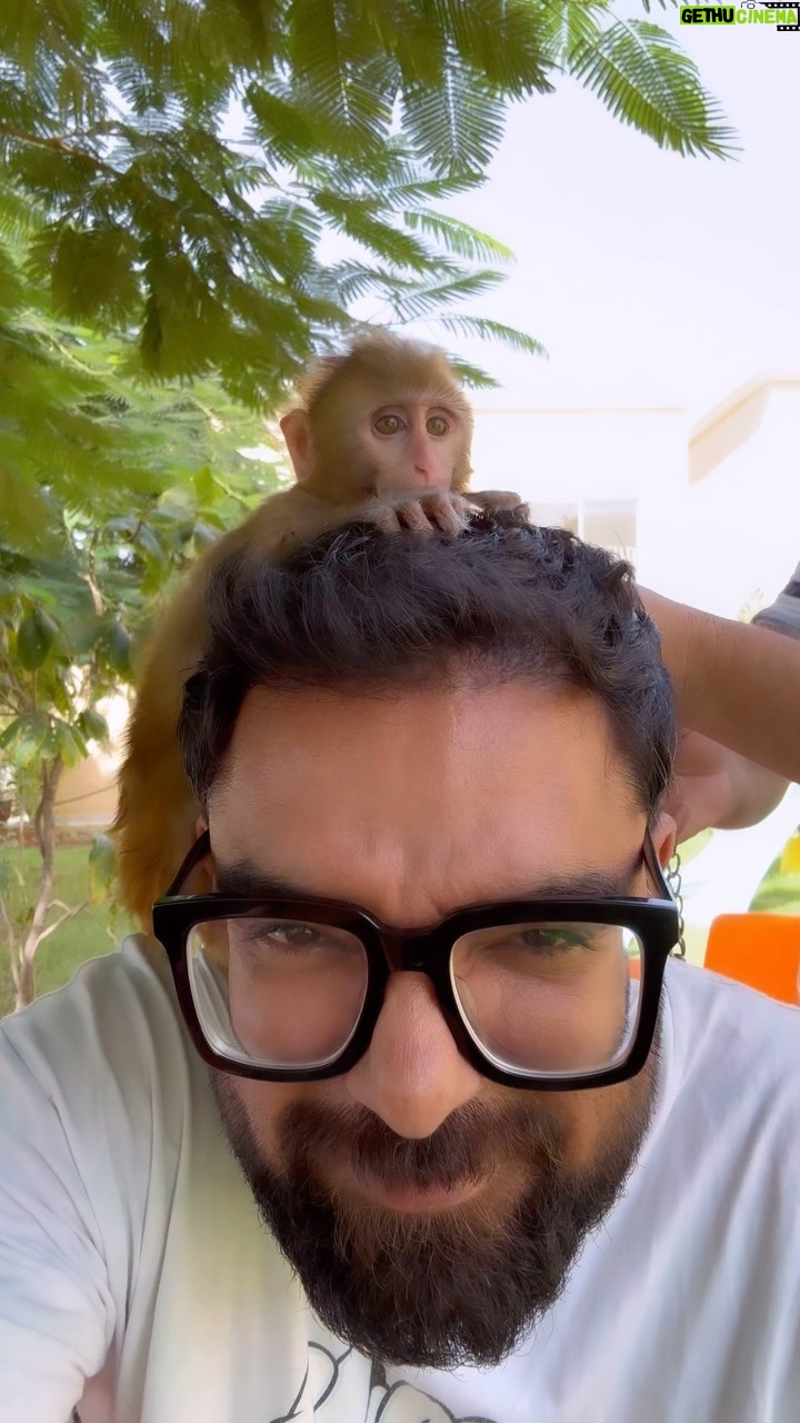Yasir Hussain Instagram - Monkey 🙈 morning #
